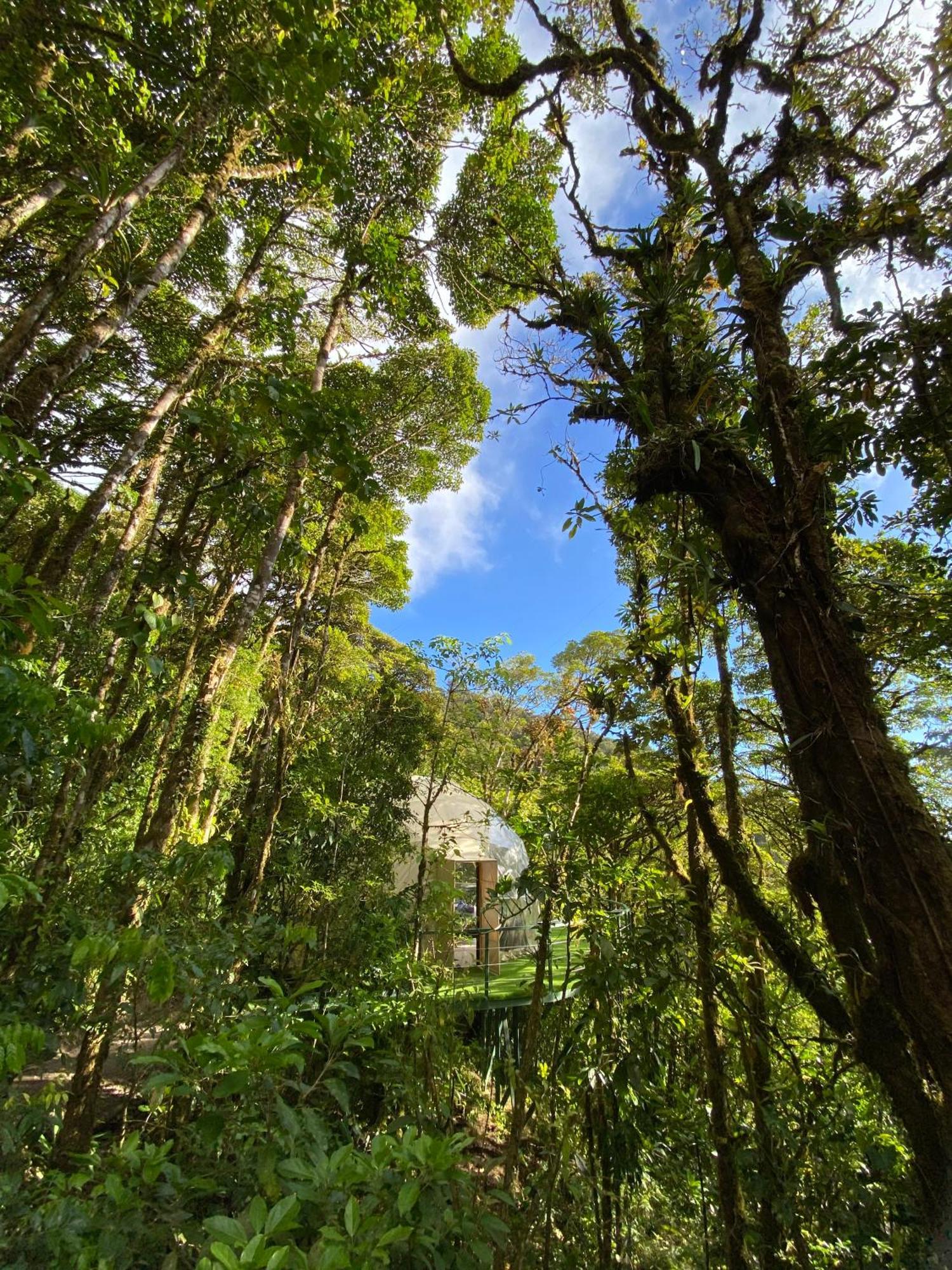 Hotel Way To Heaven Glamping à Monteverde Extérieur photo