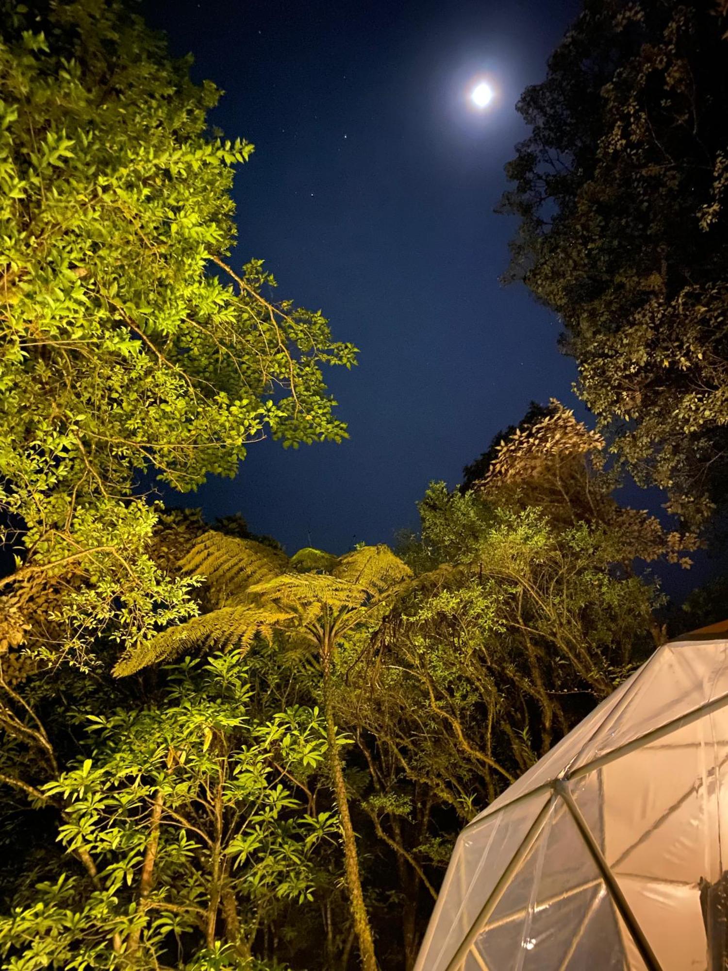 Hotel Way To Heaven Glamping à Monteverde Extérieur photo